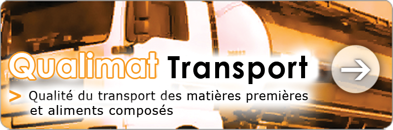 bt_q_Transport-web